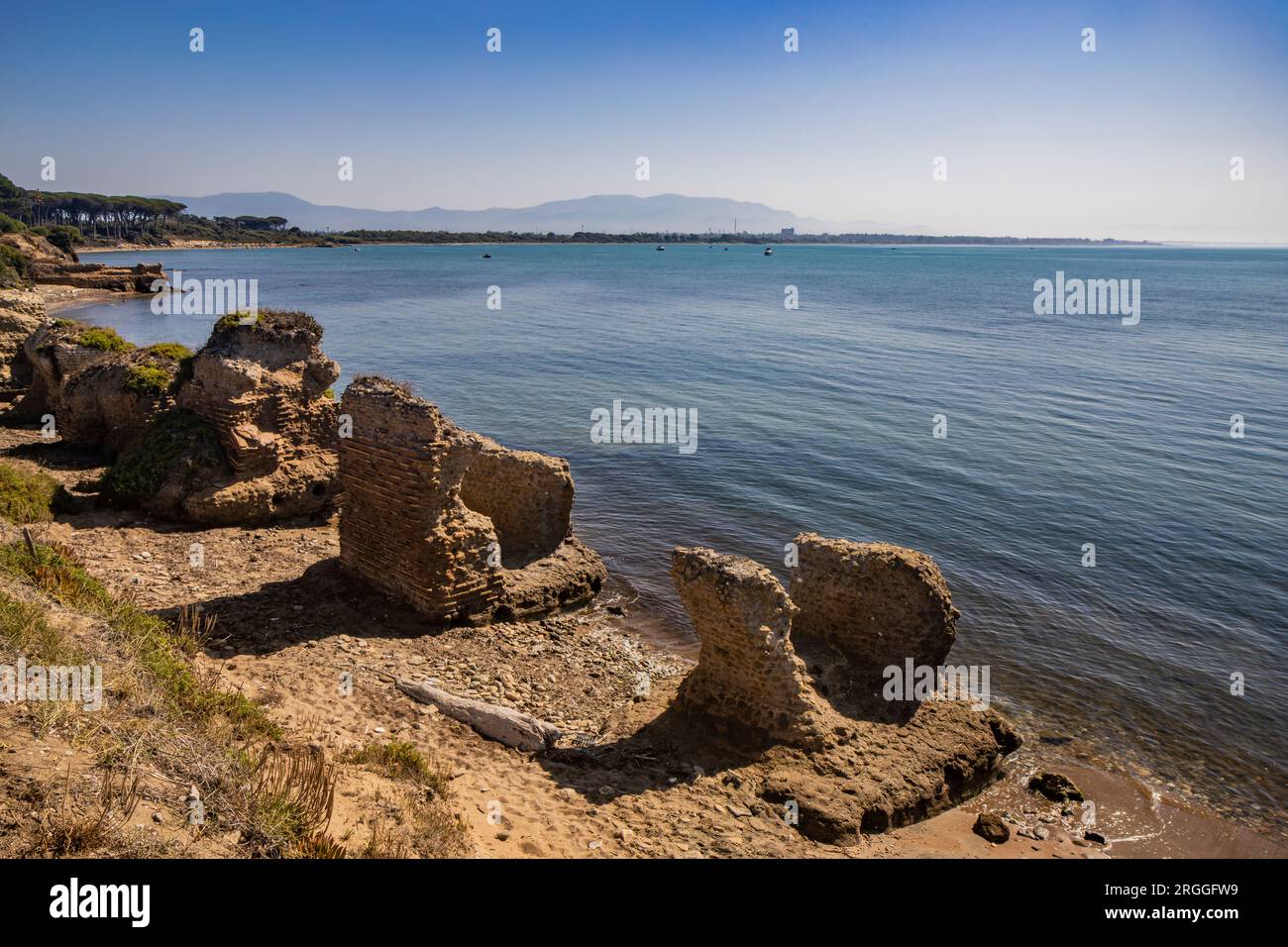 The Torre Astura nature reserve, in Nettuno. The large pine forest that leads to the beach with the remains of ancient Roman buildings. The Lazio coas Stock Photo