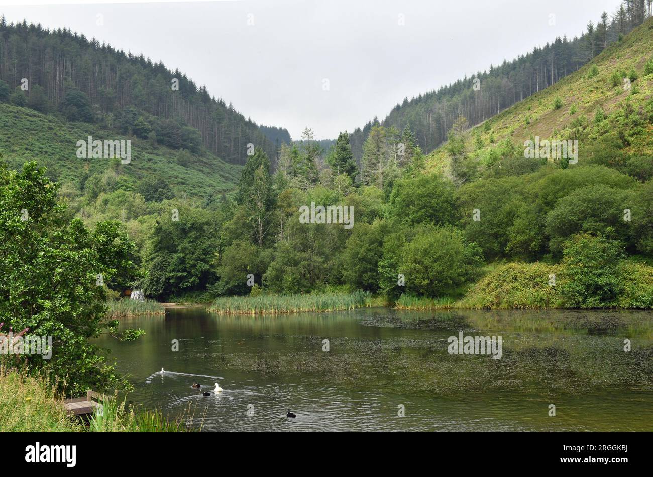 Cwm clydach country park hires stock photography and images Alamy