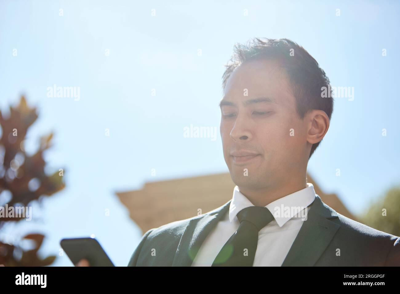 Businessman using smart phone Stock Photo