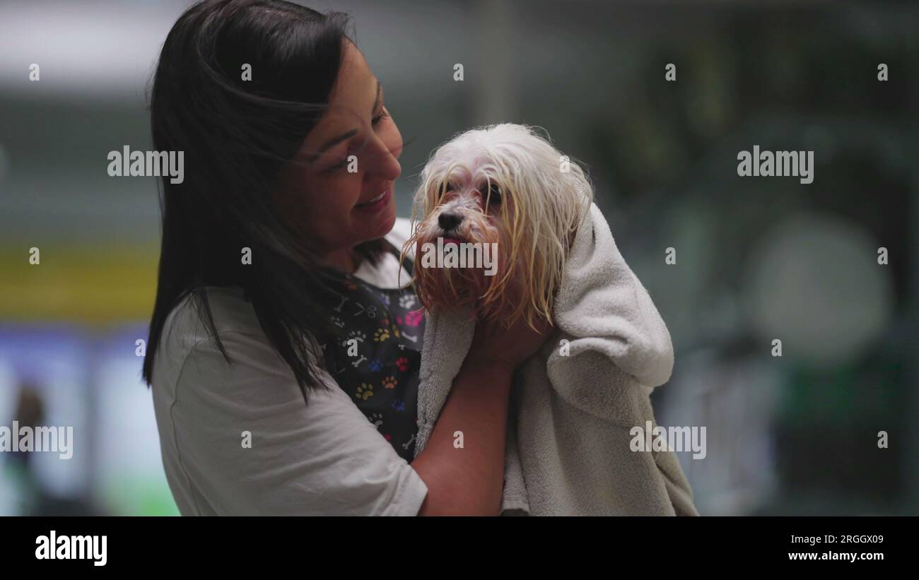 Local Pet Shop Owner and Employee Proudly Display Shih Tzu Pet After ...