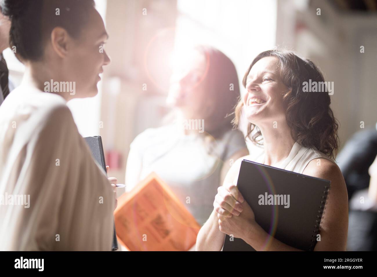 Mature businesswomen talking by window in office Stock Photo