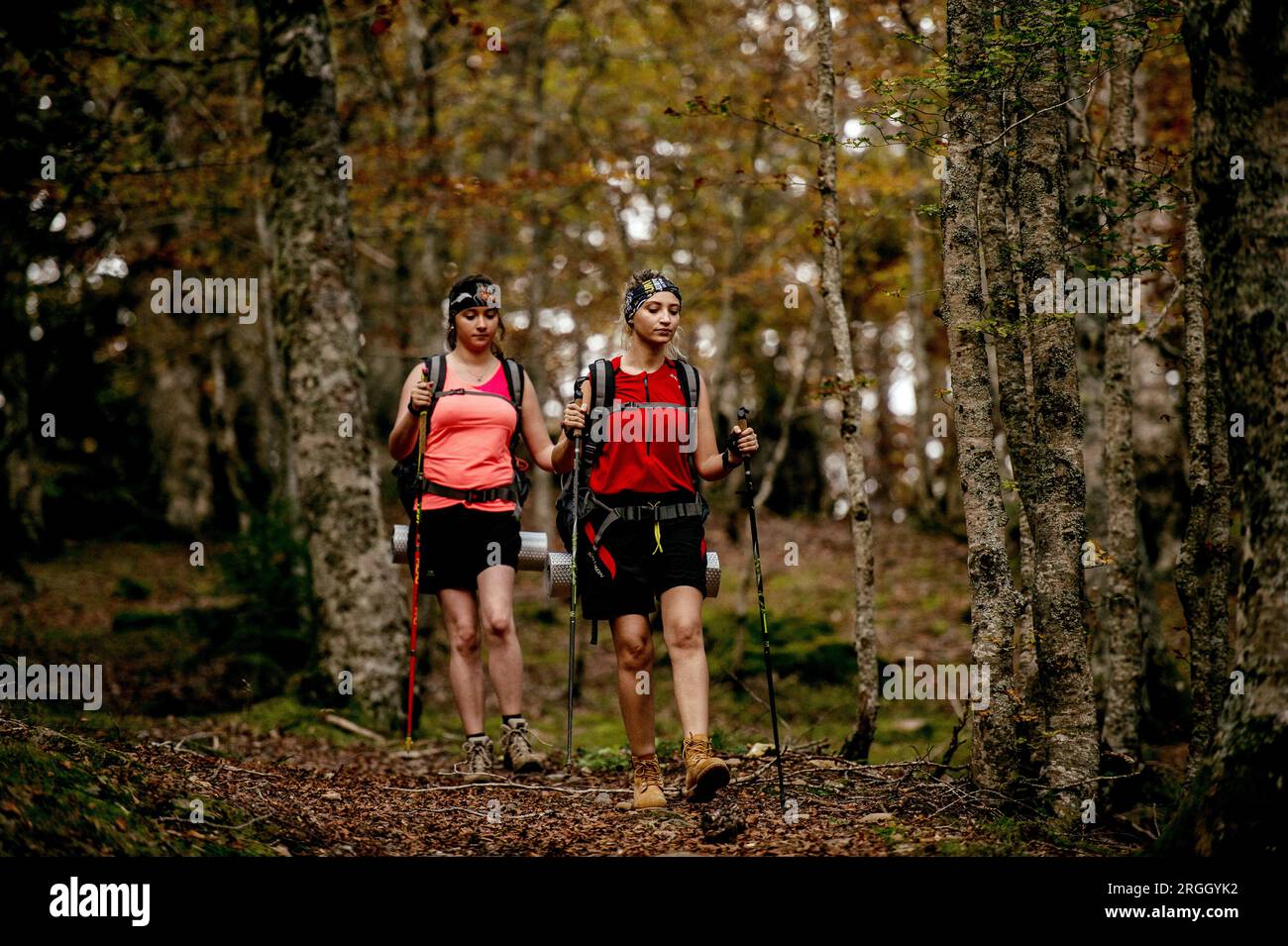 Women hiking forest hi-res stock photography and images - Alamy