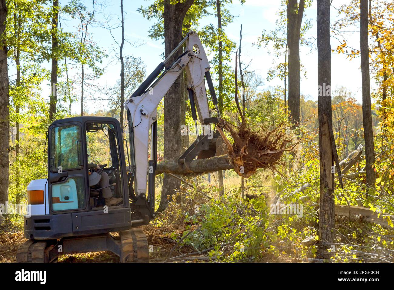 Tractor skid steer clearing land from roots for being prepared for