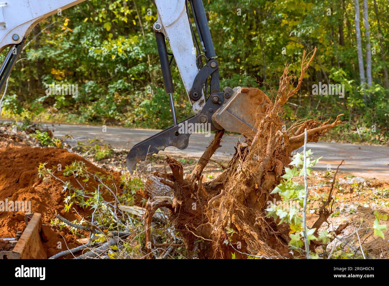 Land clearing for housing complex skid steer tractor removes roots