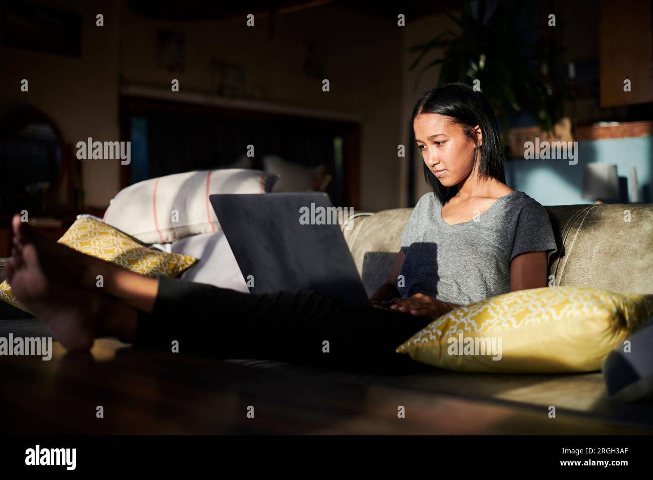 Young woman working from home on laptop Stock Photo