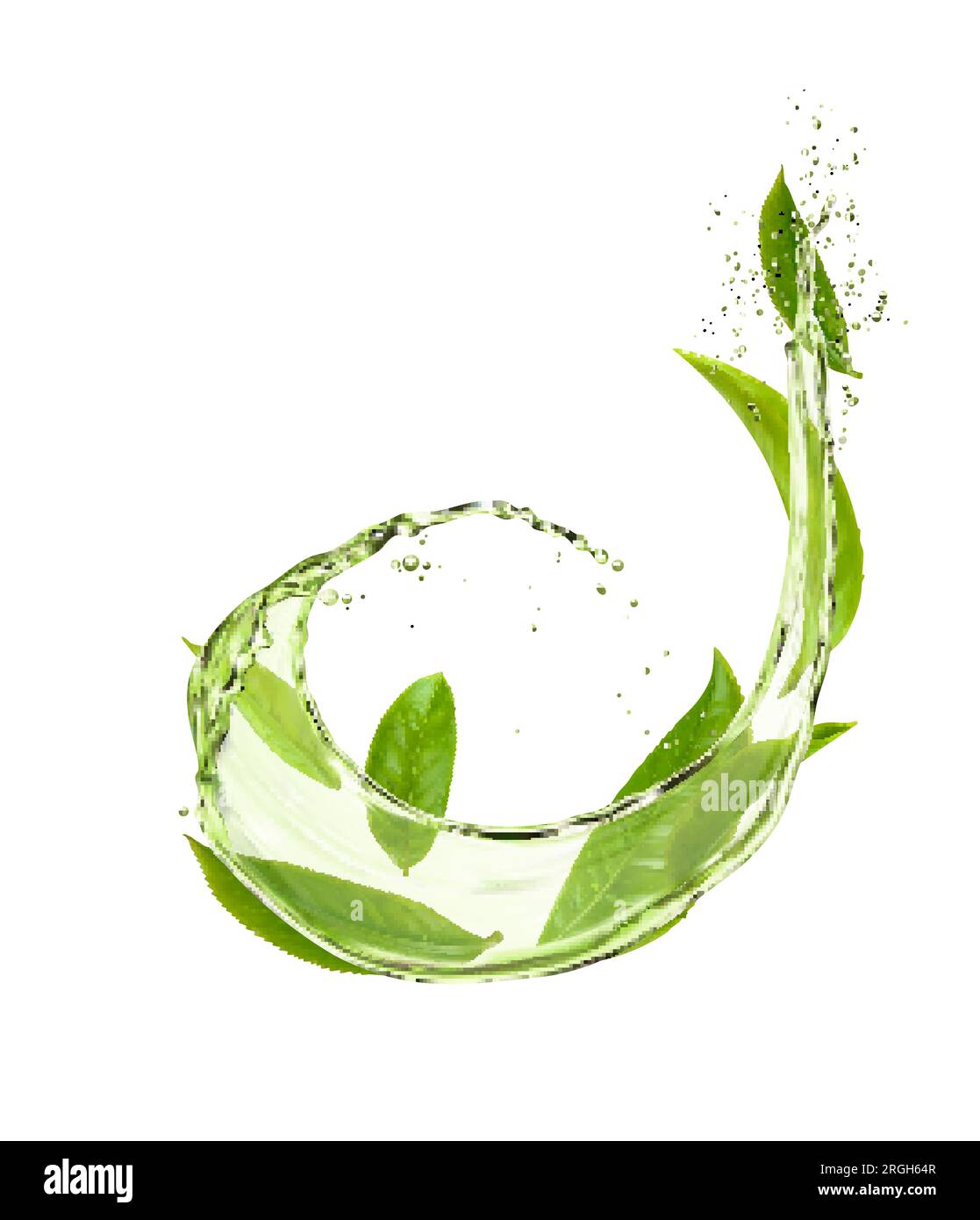 Green Tea Leaves Water Splash And Drops For Drink Vector Realistic Background Green Tea 9507