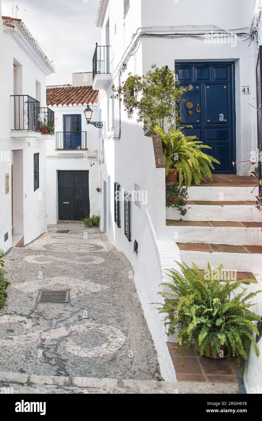 Potted plants on steps to house Stock Photo Alamy