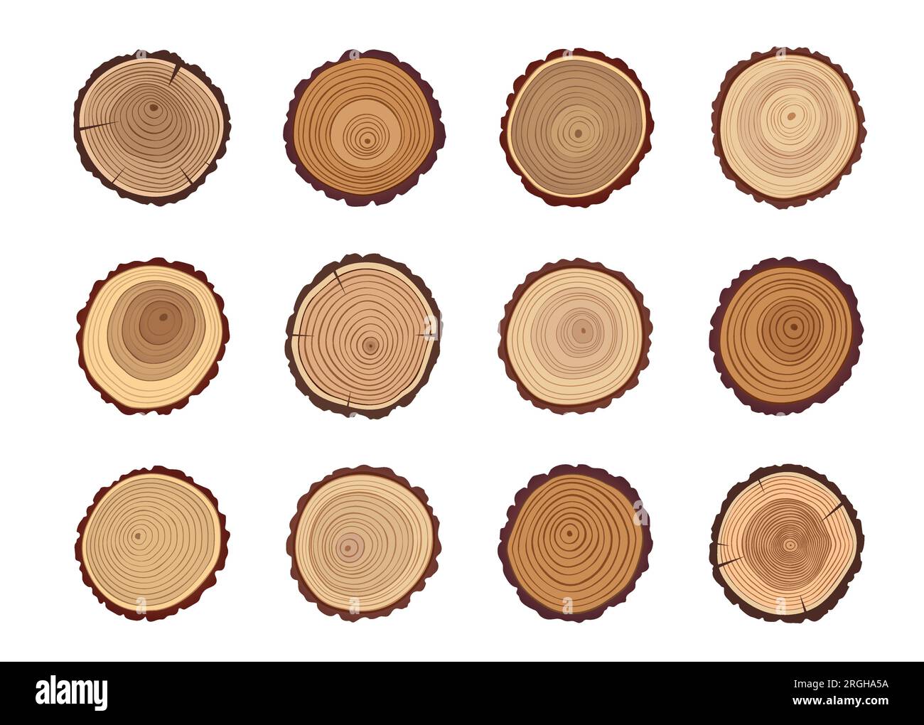 Spruce tree stumps Cut Out Stock Images & Pictures - Alamy