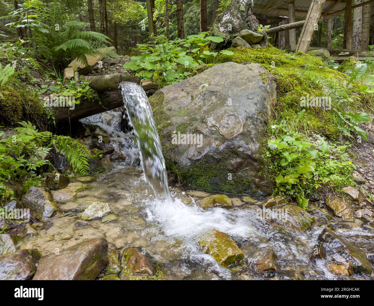 Mountain spring stream Clean Water Source of pure mineral water for the ...