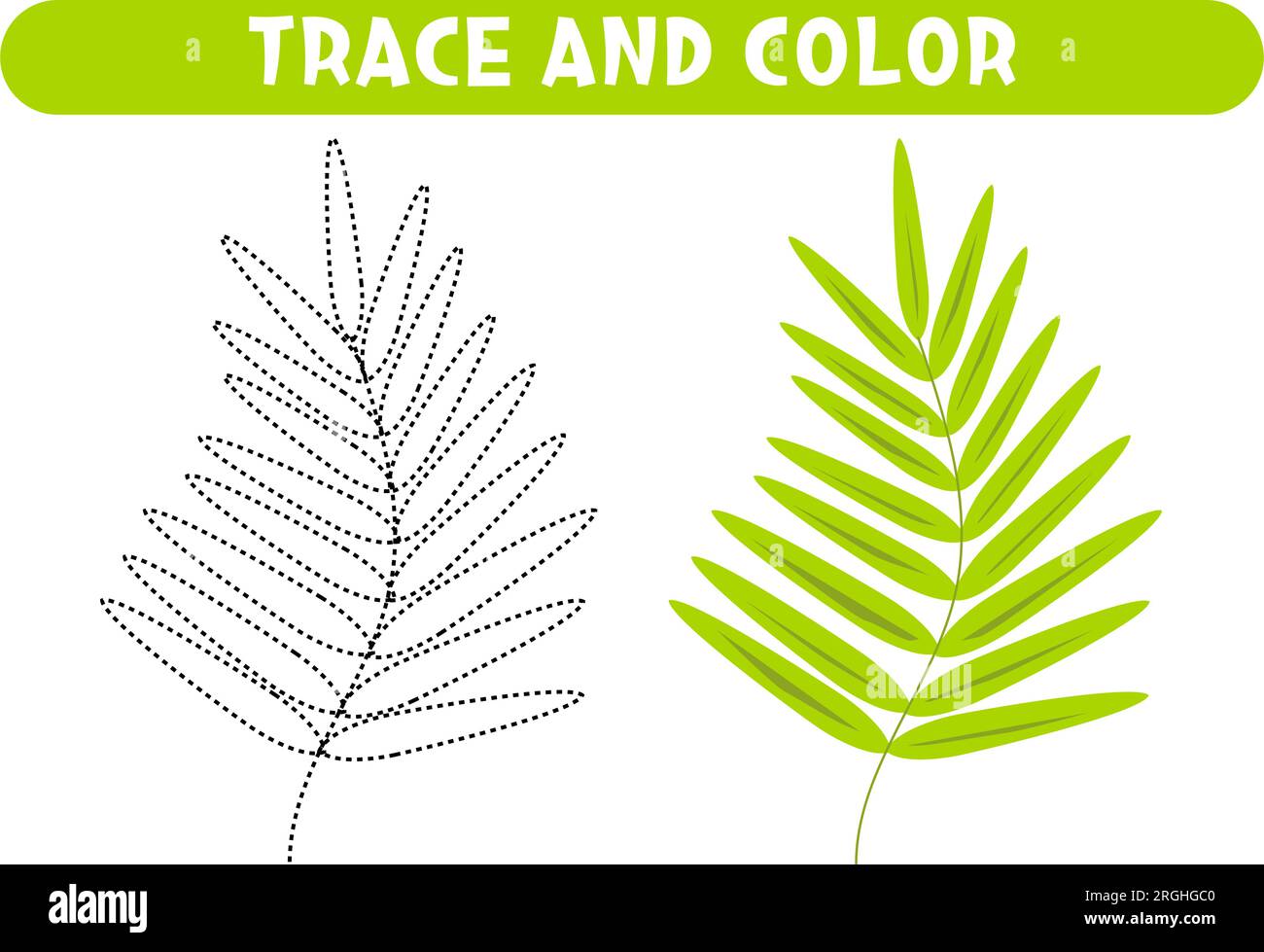 Trace and color green leaf. Worksheet for kids Stock Vector