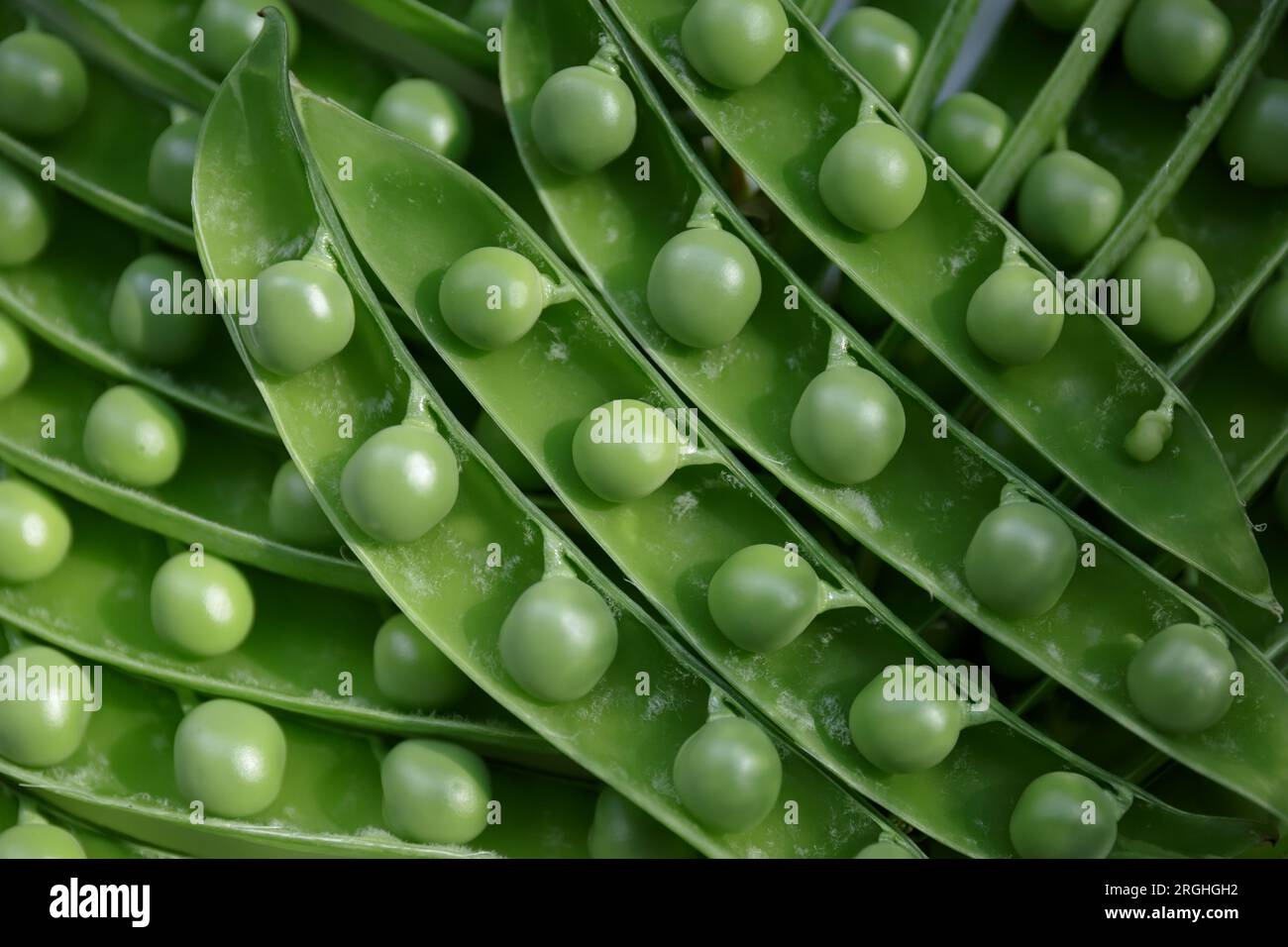 Grains of green young peas in open pods. Harvest of ripe fresh peas. Stock Photo