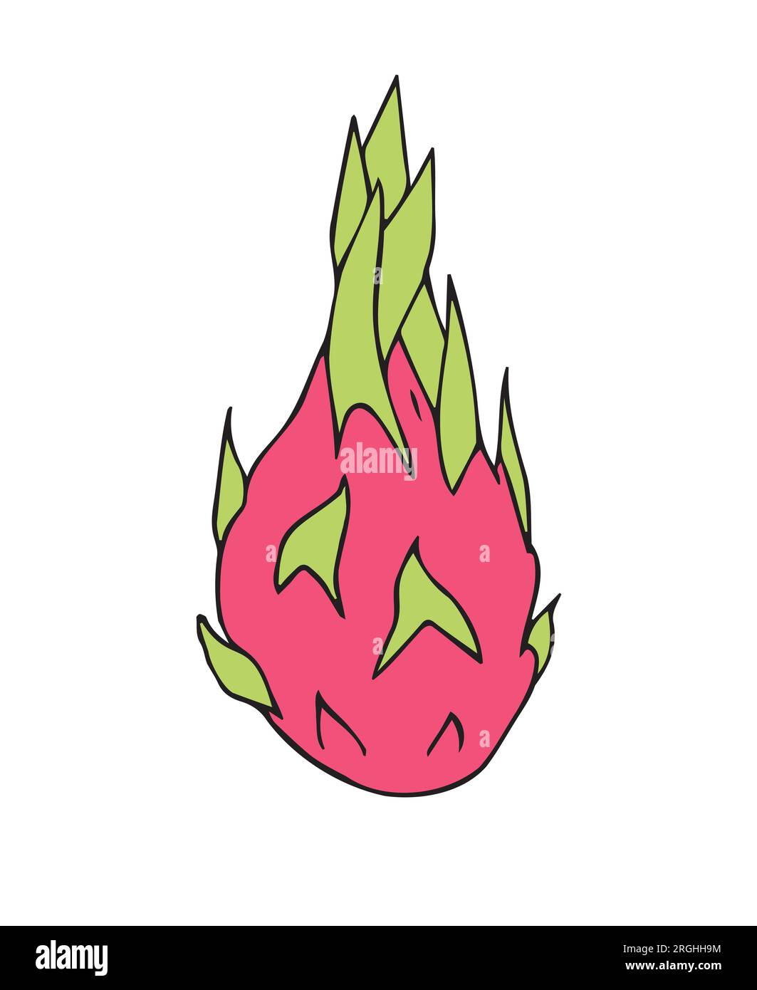 Vector hand drawn colored dragon fruit Stock Vector