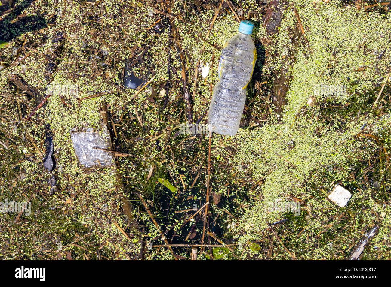 Trash in harbour water, in the harbour at Kanaiwa, Ishikawa, Japan. Stock Photo