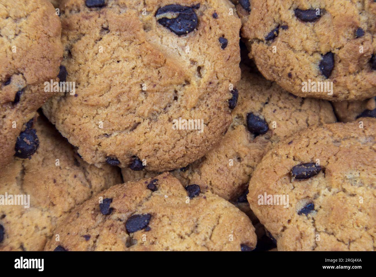 close-up chocolate chip cookies Stock Photo