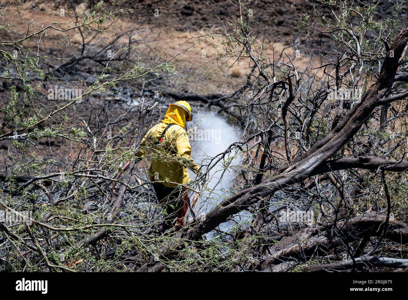 Hawai'I Island Firefighters' Courage In The Face Of The Mauna Kea Fire - rqbytwk
