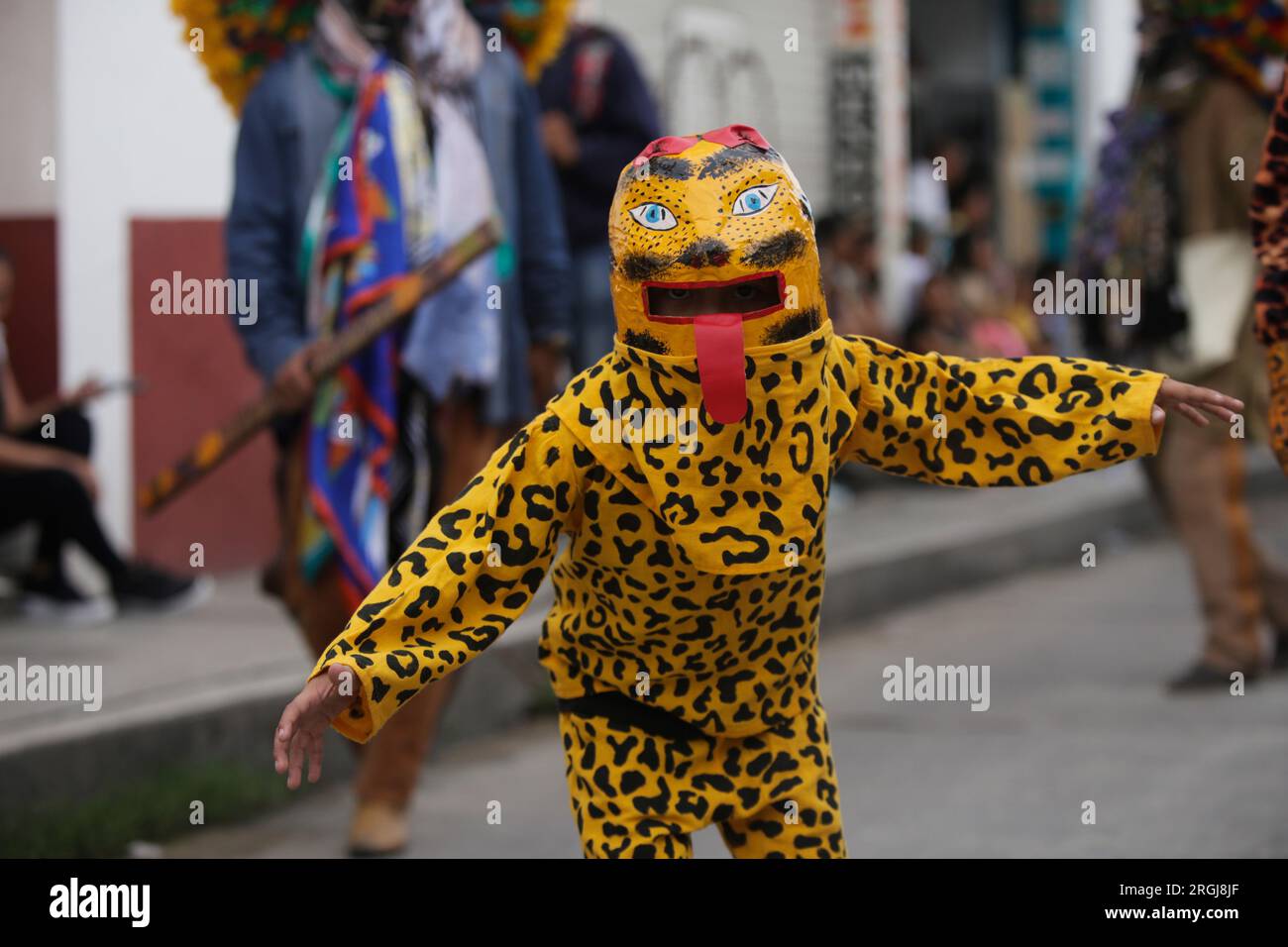 Tixtla, Guerrero, Mexico. 10th Aug, 2023. Nahua boy, characterising a jaguar from the Tlacololeros dance. (Credit Image: © Luis E Salgado/ZUMA Press Wire) EDITORIAL USAGE ONLY! Not for Commercial USAGE! Credit: ZUMA Press, Inc./Alamy Live News Stock Photo