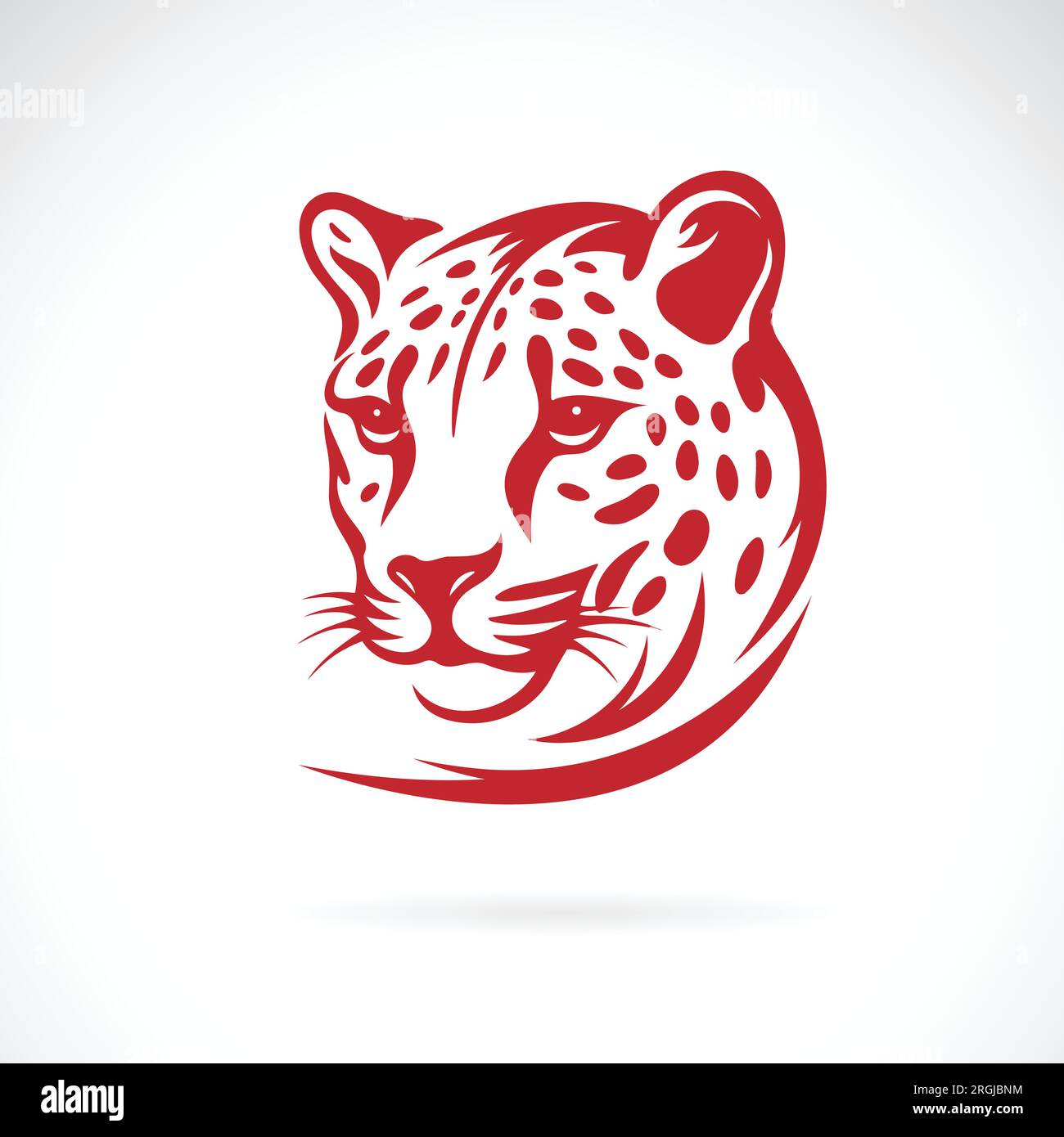 Vector of cheetah head on white background. Wild Animals. Easy editable layered vector illustration. Stock Vector