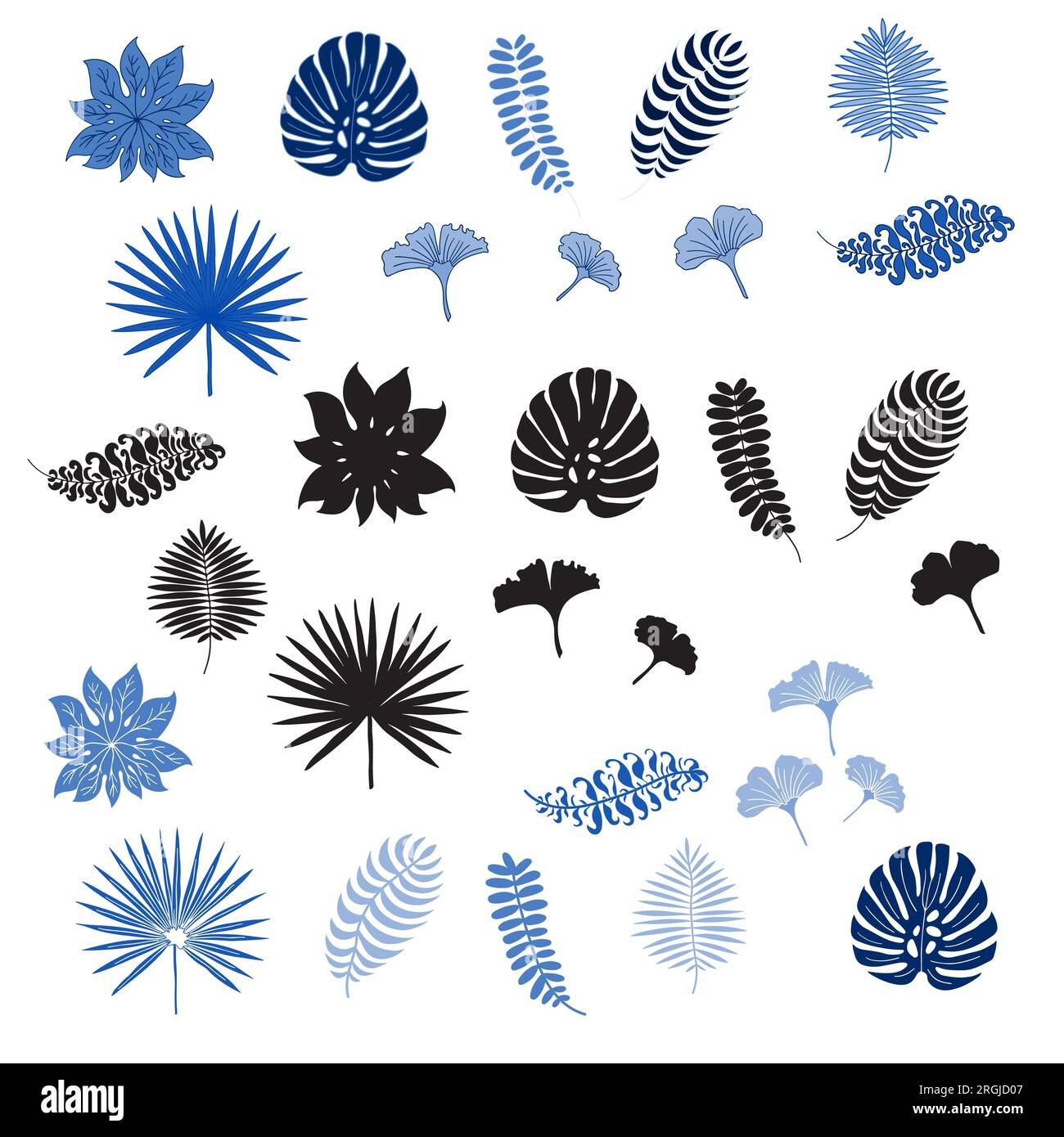 Tropical exotic leaves set. Isolated on white background Stock Vector ...