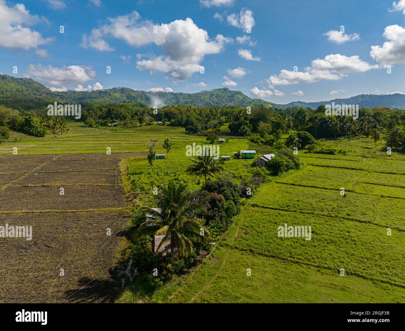 Mindanao Rice Agricultural land and mountains with green forest. Mindanao ...