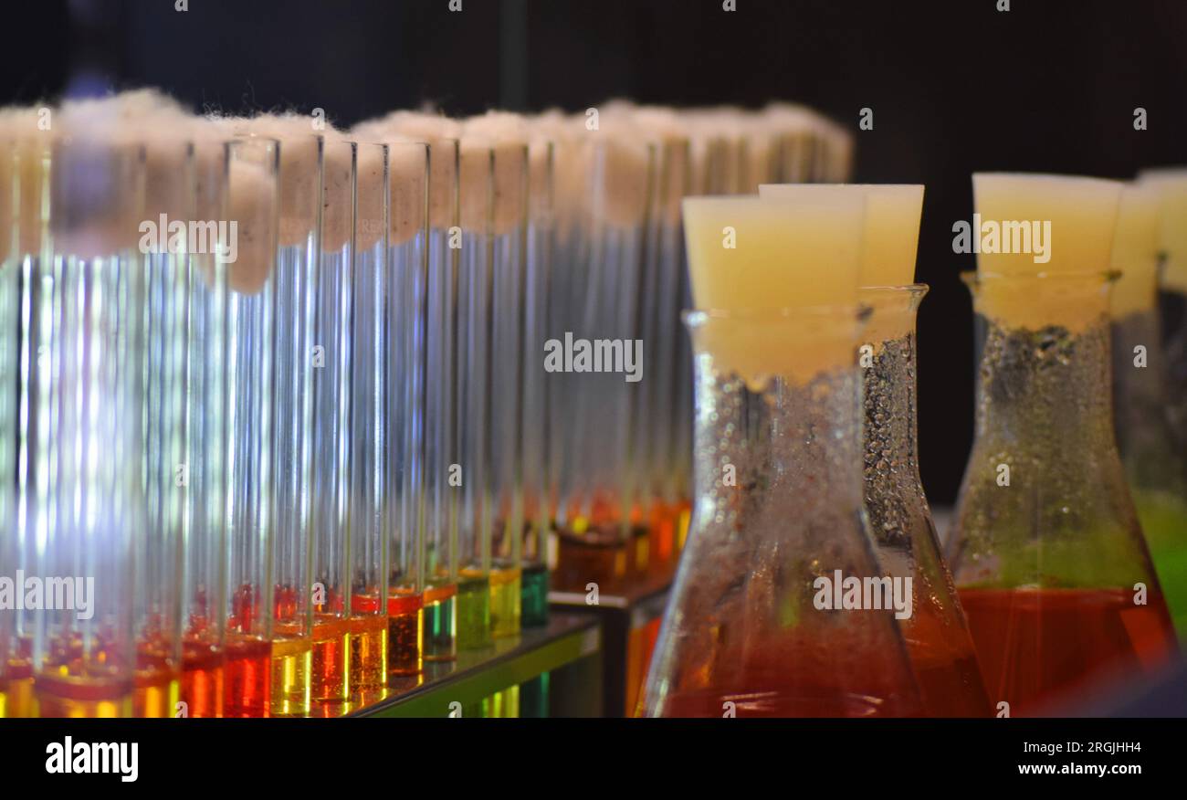 a line of glass test tubes containing colourful fluids alongside glass