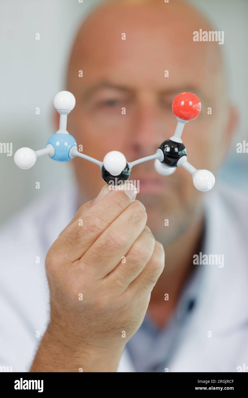 plastic model molecule held by senior male scientist Stock Photo