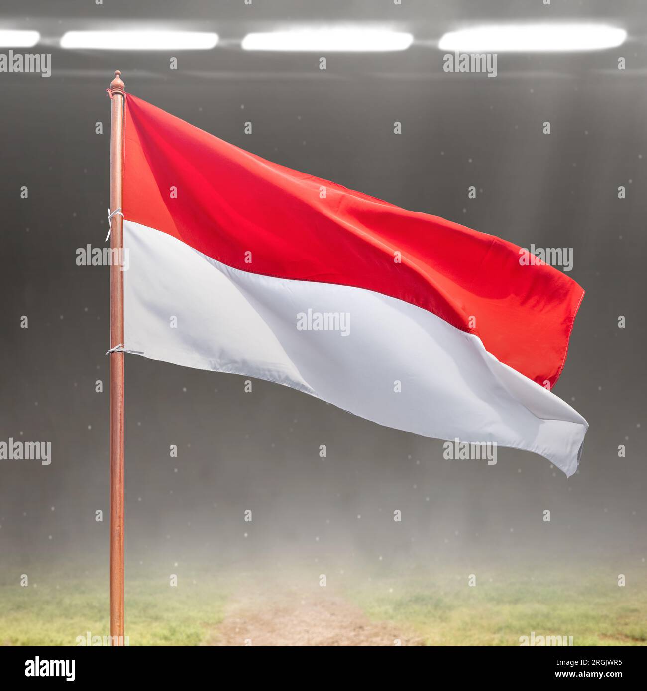 My Image 10