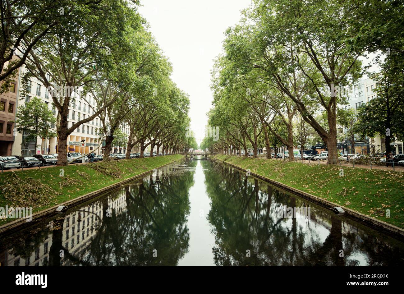 Königsallee boulevard in Düsseldorf. Symmetric shot of long water canal in center of german city. Stock Photo