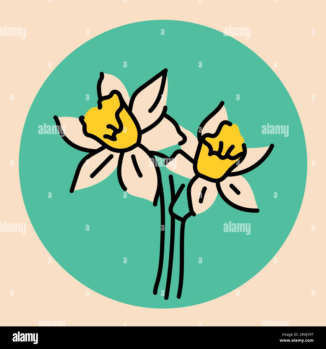 Narcissus flower black line icon. Pictogram for web page, mobile app