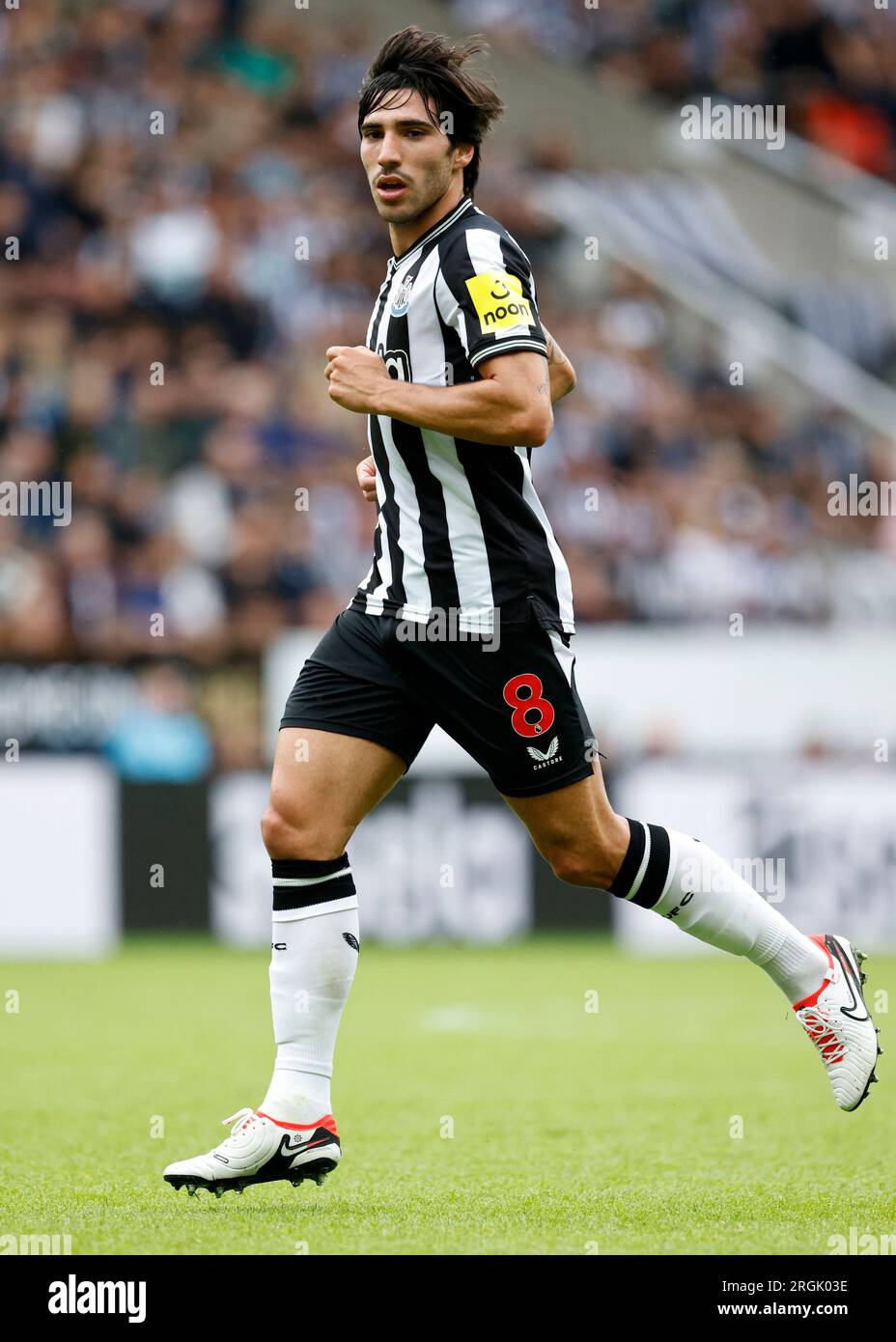 Sandro tonali hi-res stock photography and images - Alamy