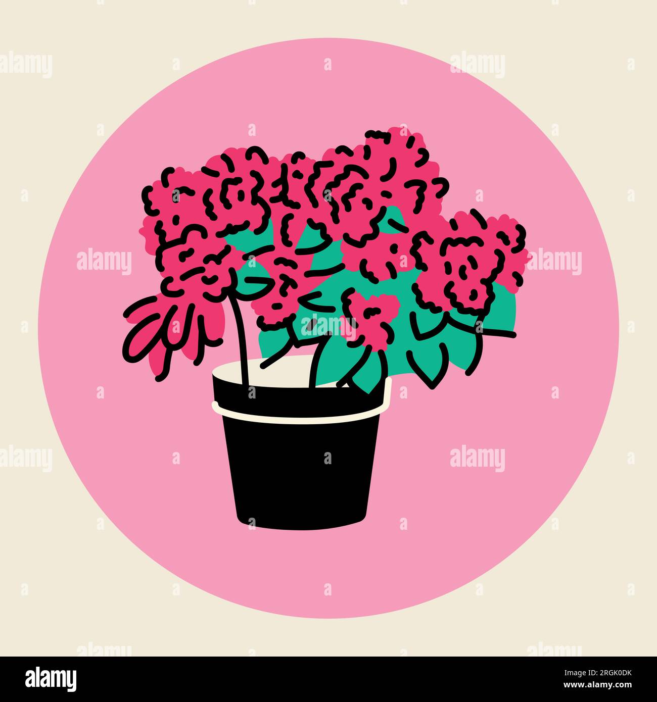 Indoor azalea Stock Vector Images - Alamy