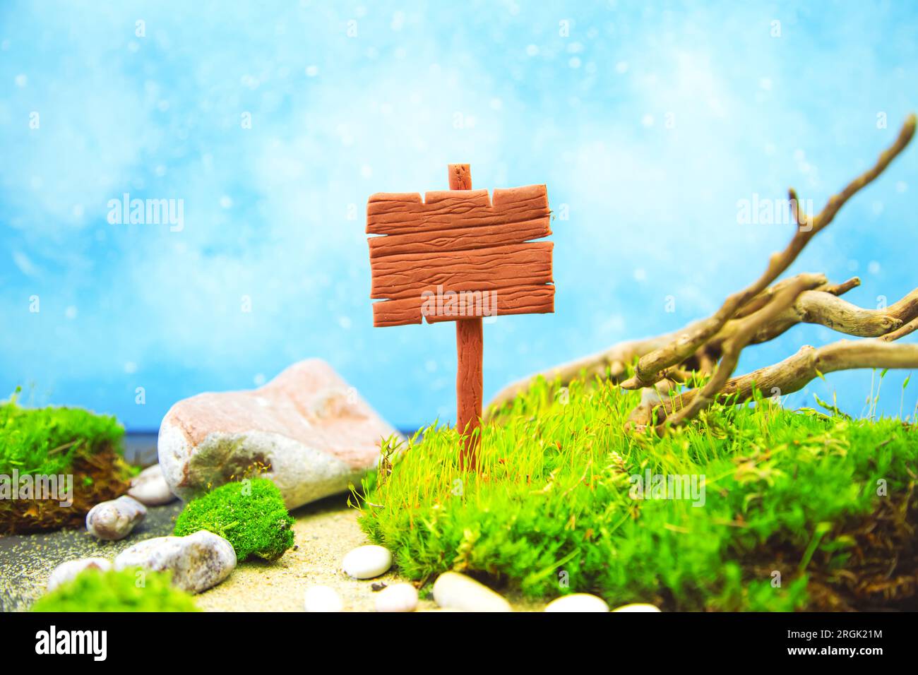 Wooden blank banner with moss, driftwood and stones. Natural background