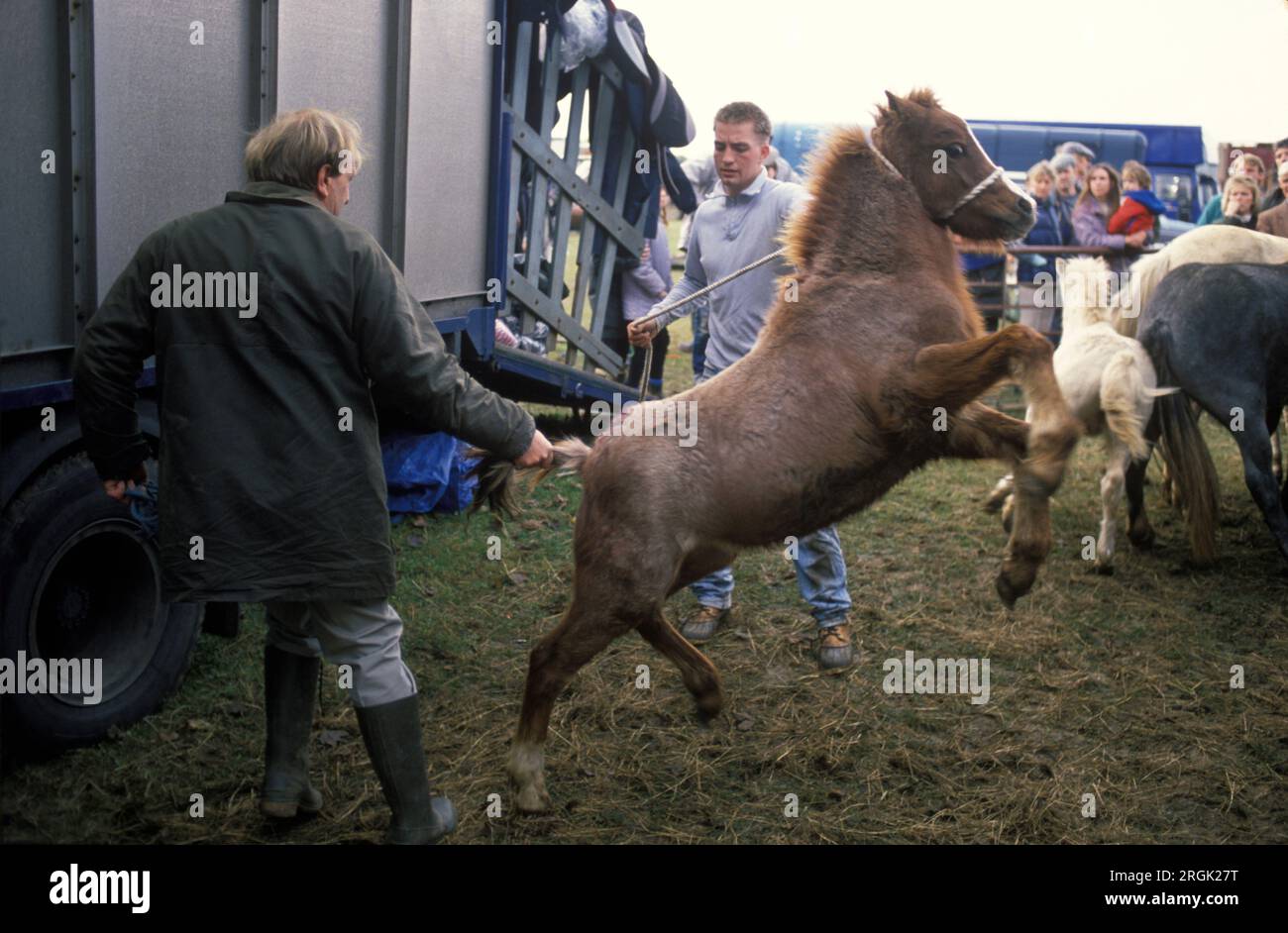 Stow on the Wold gypsy horse fair 1990s UK. A horse dealers with a pony