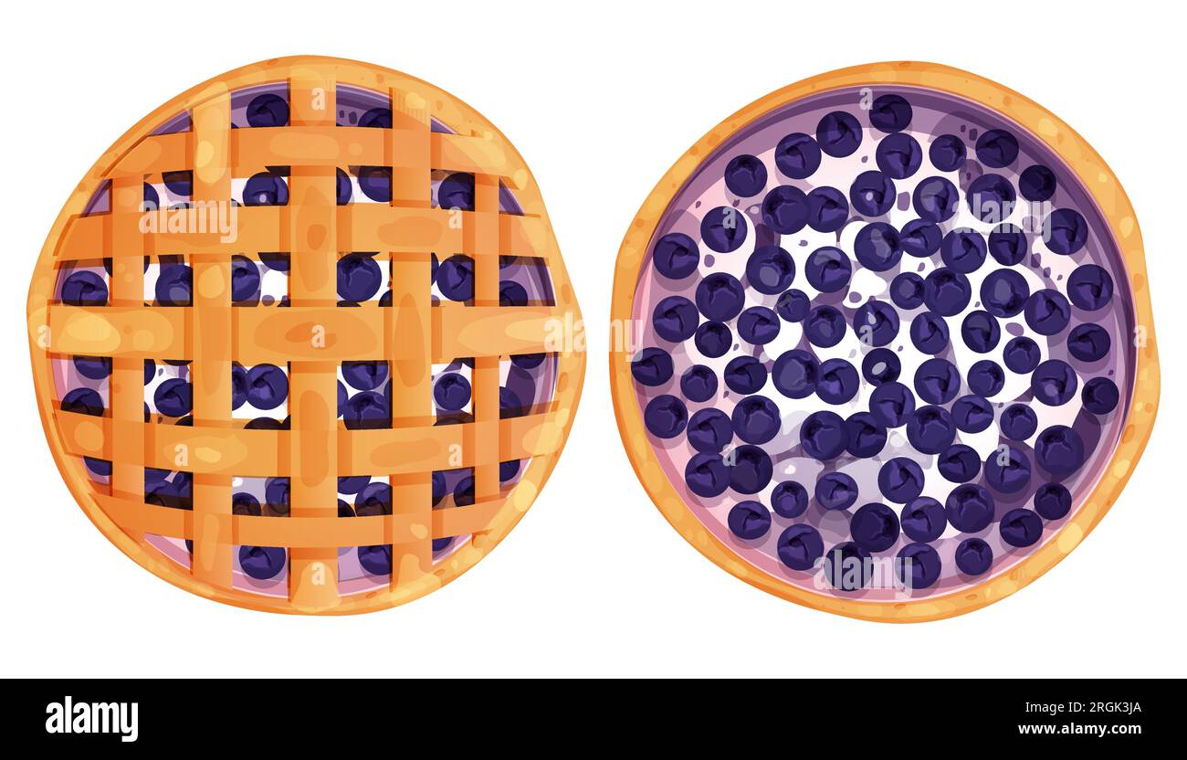 Homemde pie, tart top view whole with yogurt or cream an blueberry ...