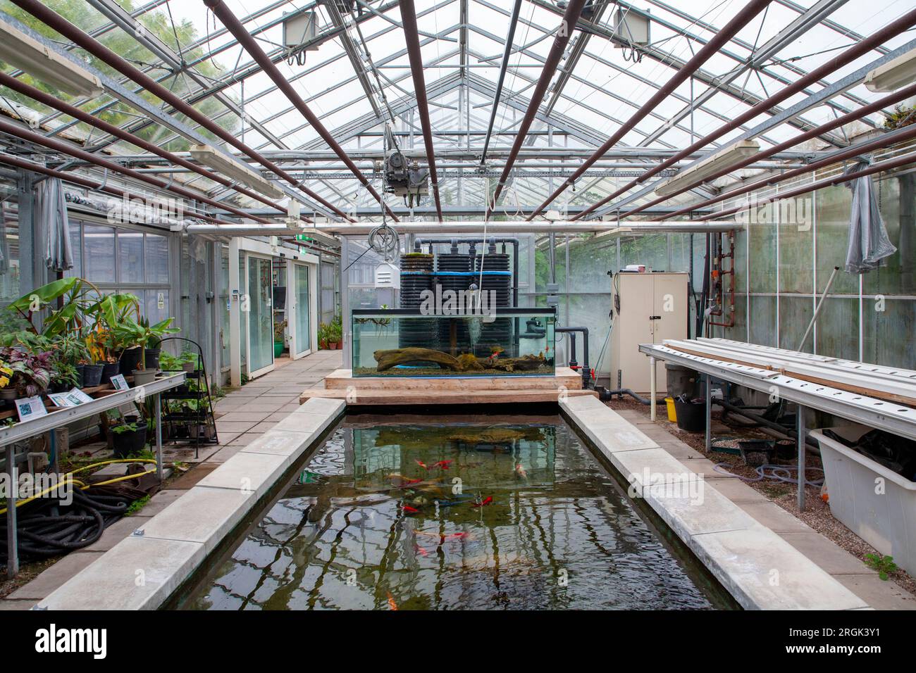Greenhouse walled garden hires stock photography and images Alamy