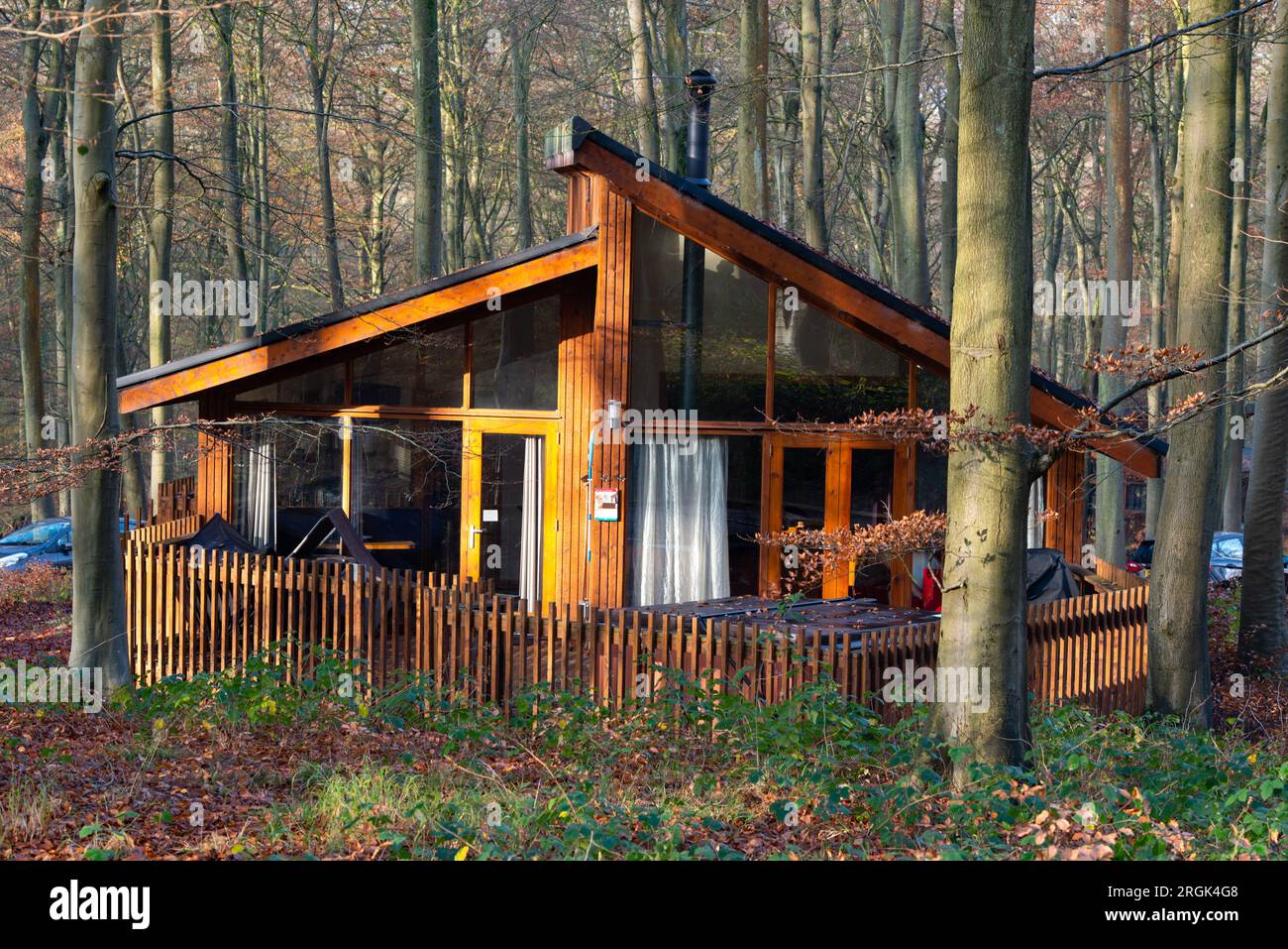Wooden house in forest Stock Photo - Alamy