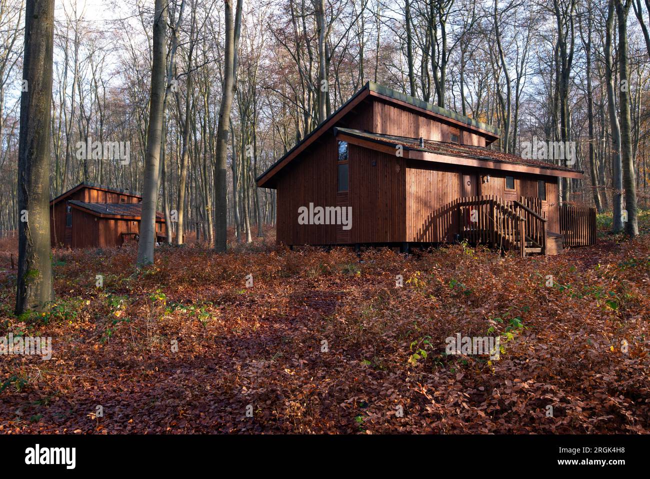 Wooden house in forest Stock Photo - Alamy