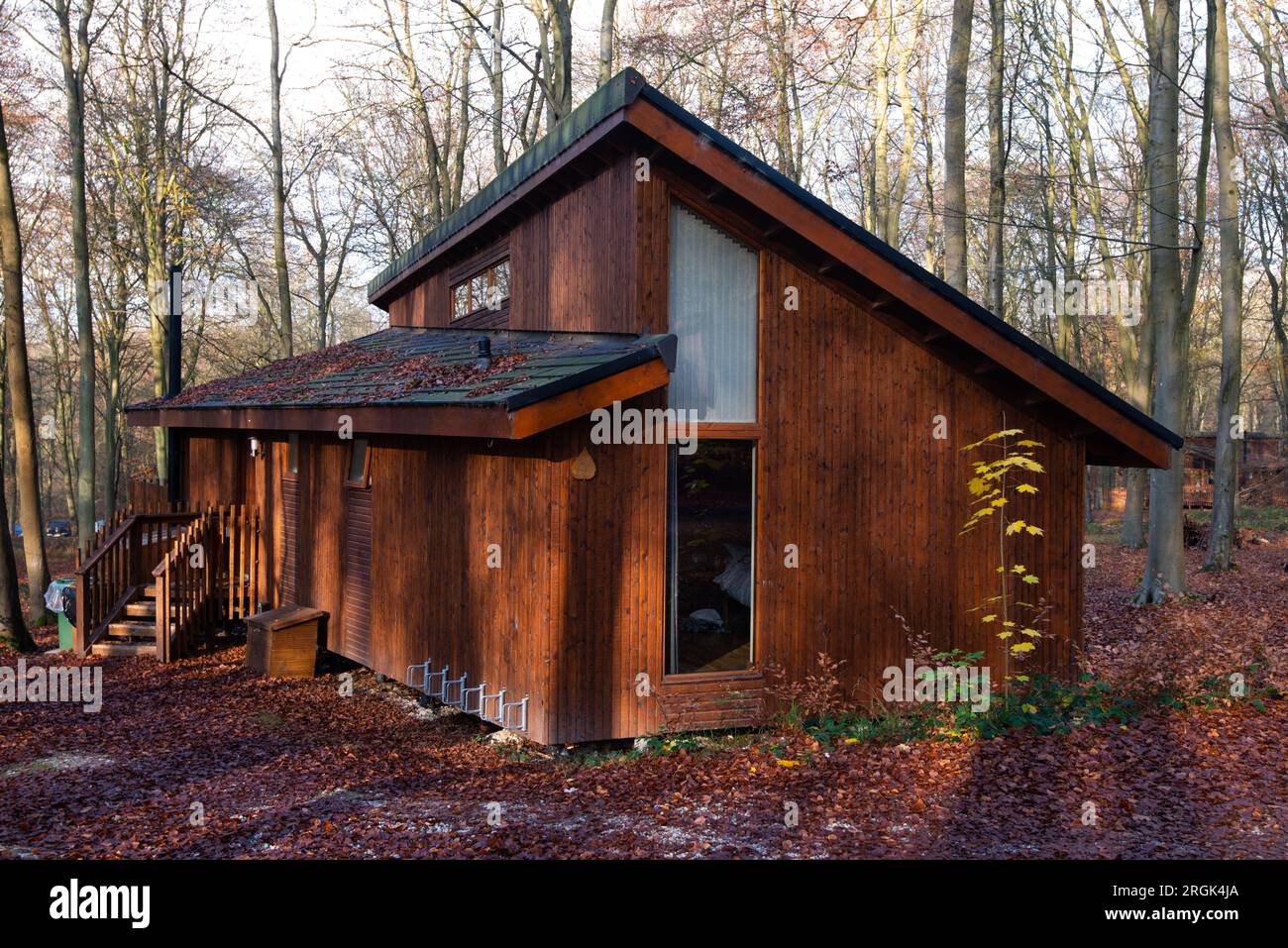 Wooden house in forest Stock Photo - Alamy