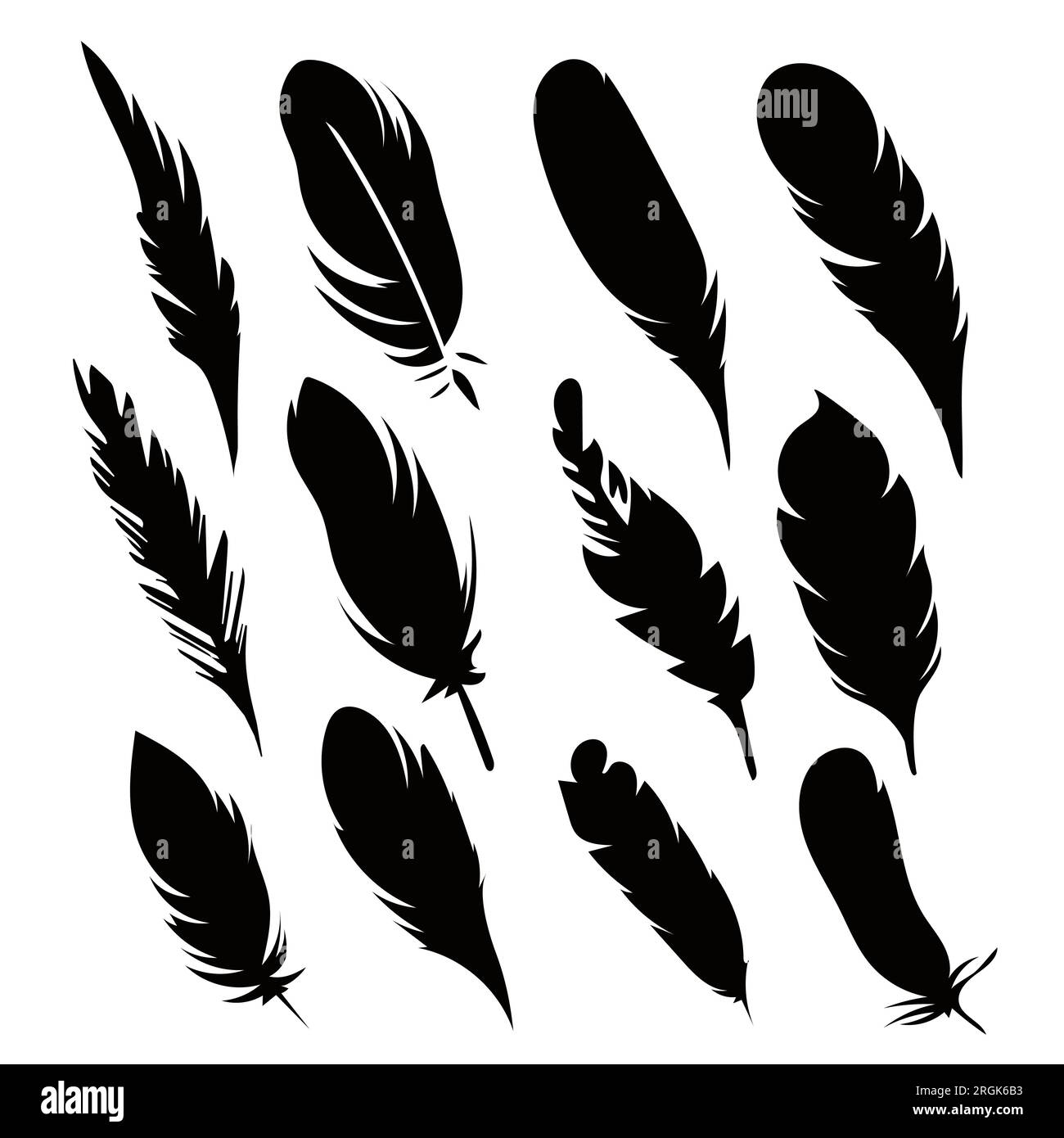 Black silhouettes of a bird feather. Feather collection. Vector ...
