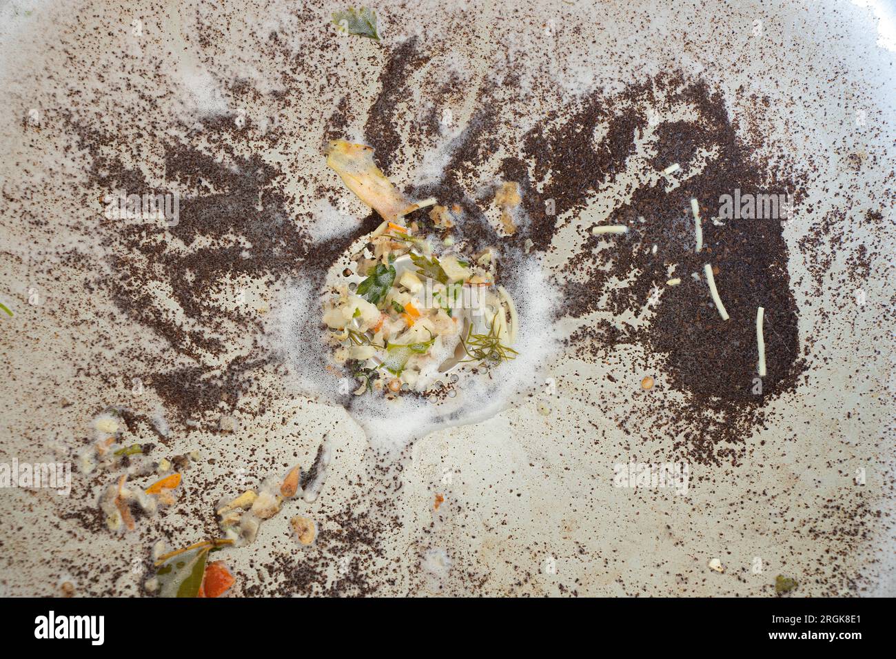 Food waste in the kitchen sink close-up as a background, blockage in