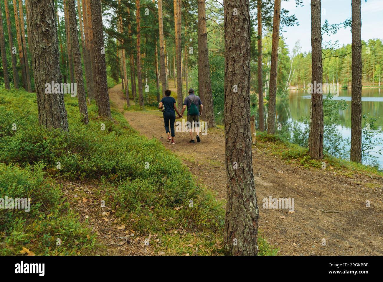 senior couple holding hands walking in forest along lakeside Stock ...