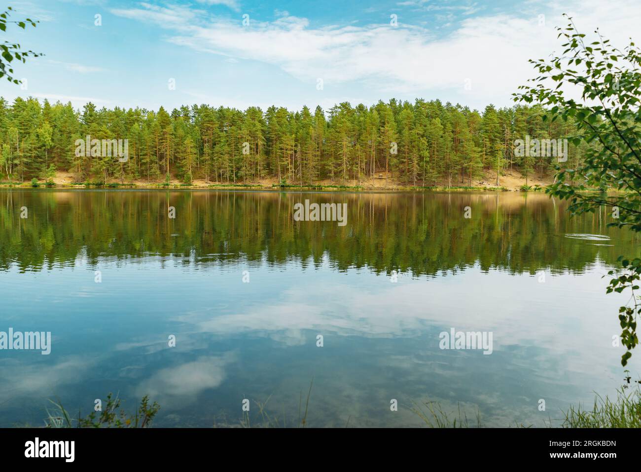 Teal orange forest pine hi-res stock photography and images - Alamy