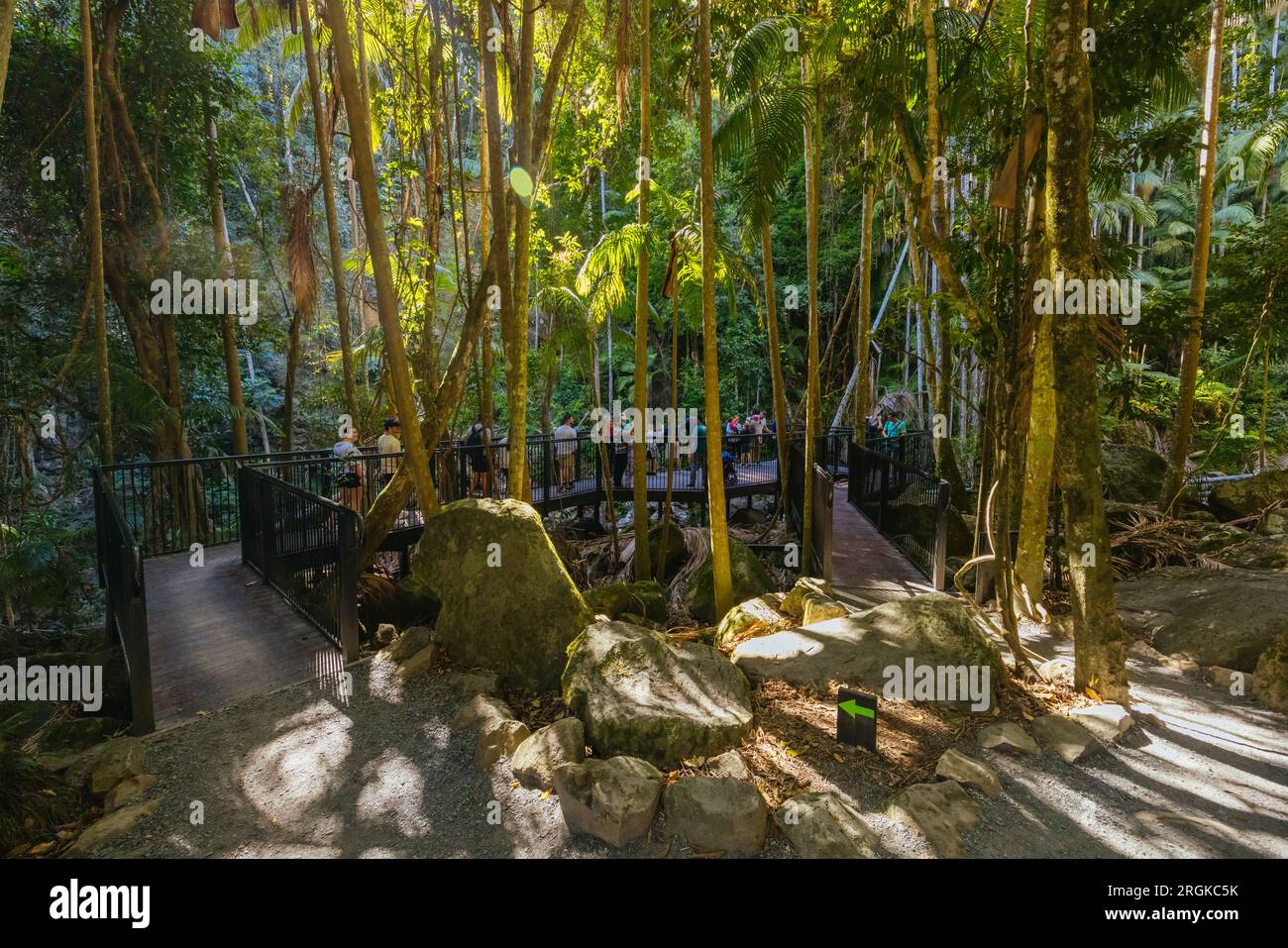 MT TAMBORINE, AUSTRALIA JUL 30 2023 The stunning Tamborine