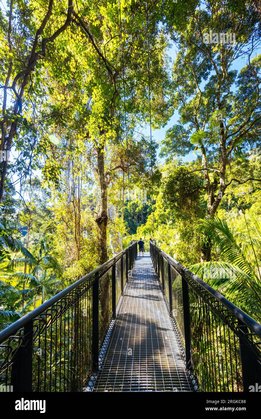 MT TAMBORINE, AUSTRALIA JUL 30 2023 The stunning Tamborine