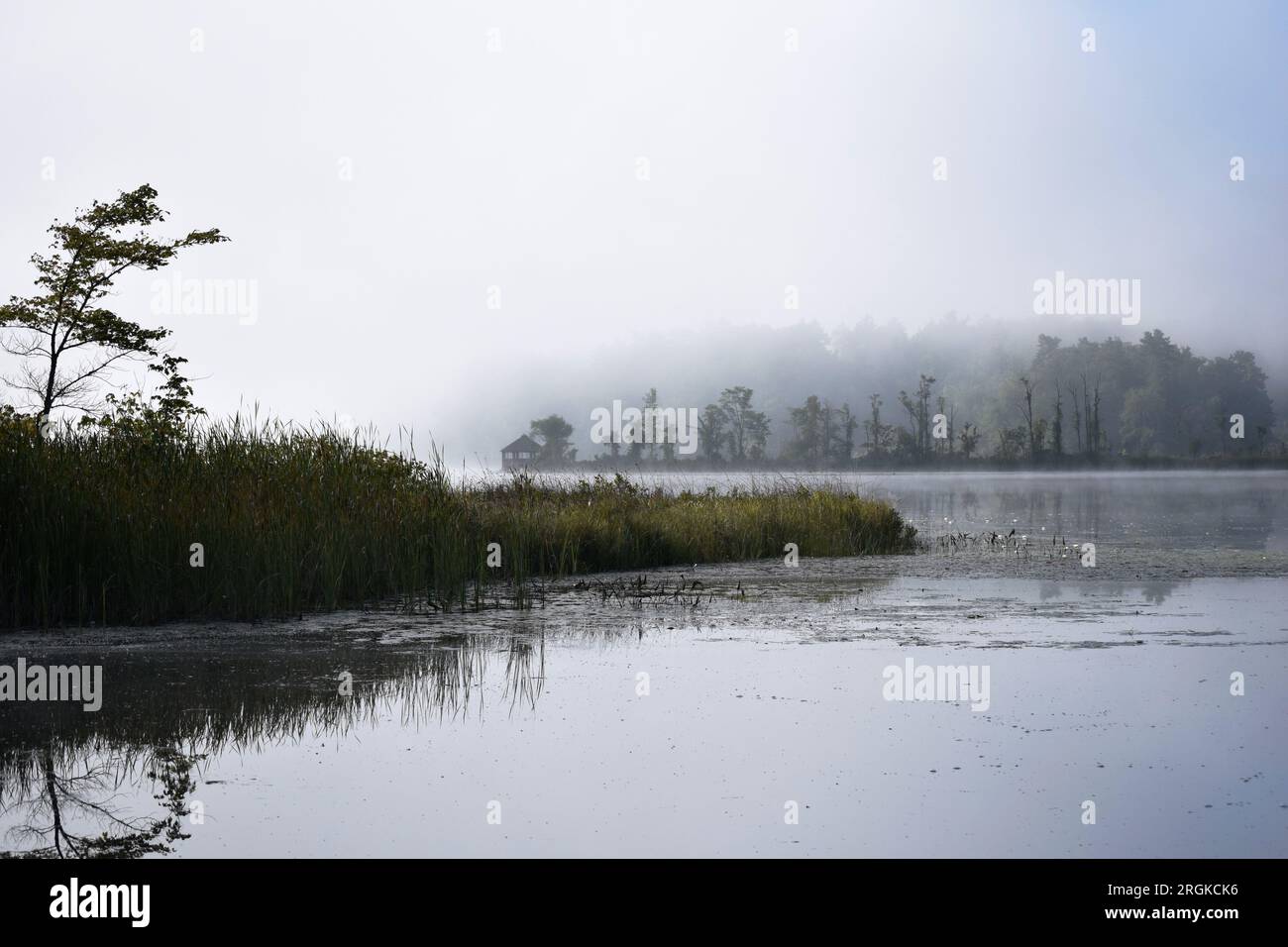 Misty morning overlooking Lake Washinee, one of the Twin Lakes