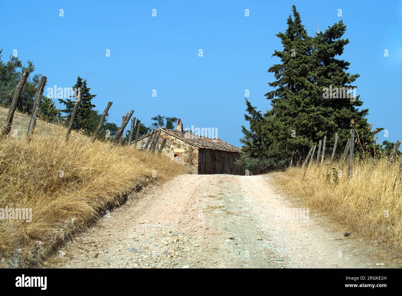 strada bianca di campagna in mezzo a due recinzioni Stock Photo