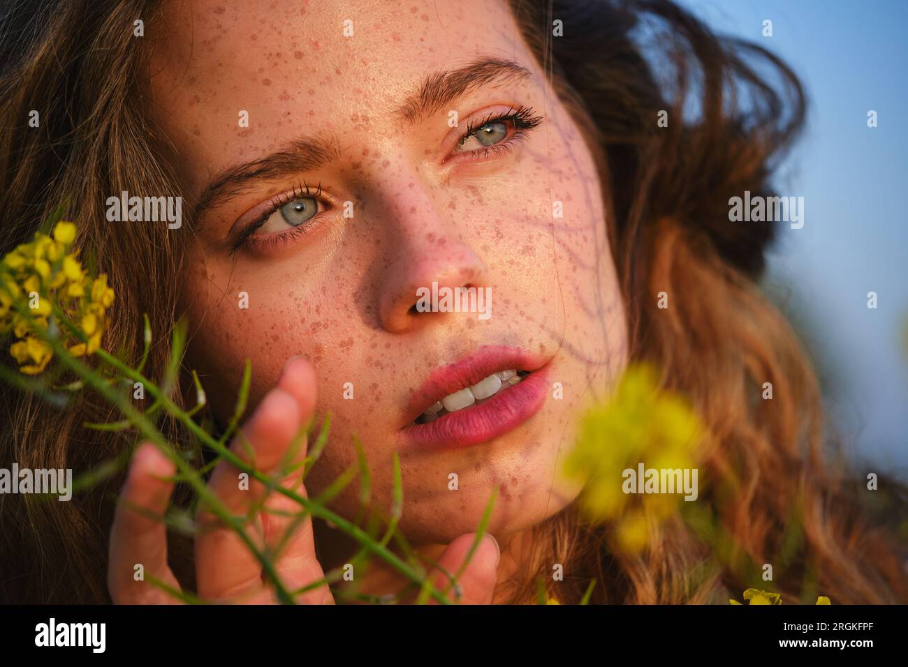 Crop sensitive female with freckles and beautiful blue eyes touching gentle yellow flowers and looking away in sweet dreams in summer countryside Stock Photo
