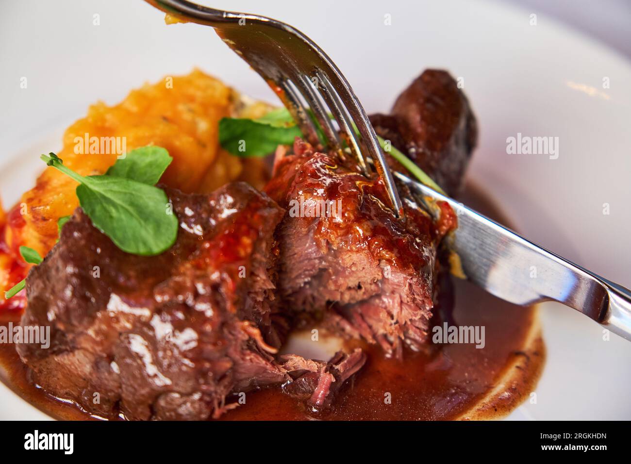 Forks cutting a piece of meat from a dish of veal cheeks with coconut mojo and tuna puree with orange sauce served in a white ceramic plate in a woode Stock Photo