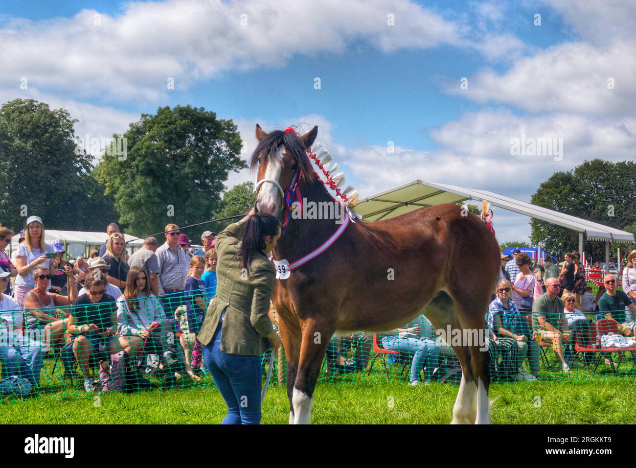 The art of horse control and showmanship. Stock Photo