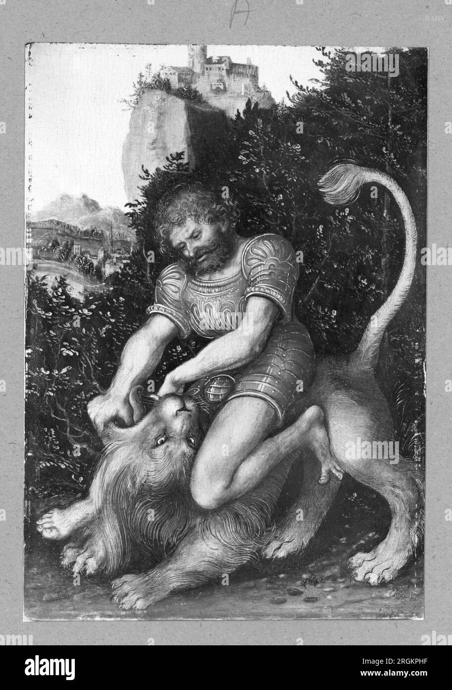 Samson vanquishing the lion circa 1497 by Lucas Cranach the Elder Stock Photo