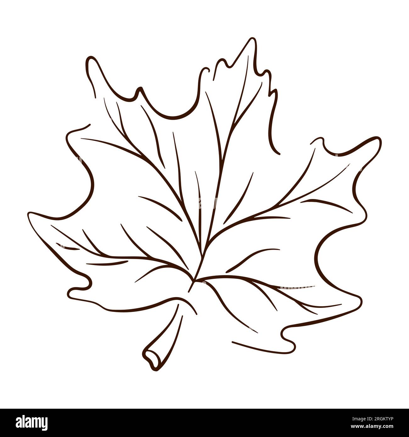 Autumn maple leaf hand drawn colored sketch Vector Image